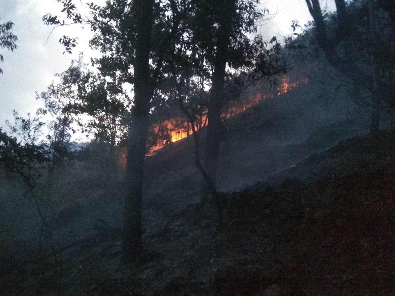 Khống chế, không để cháy lan và dập tắt vụ cháy rừng tại núi Sơn Đào